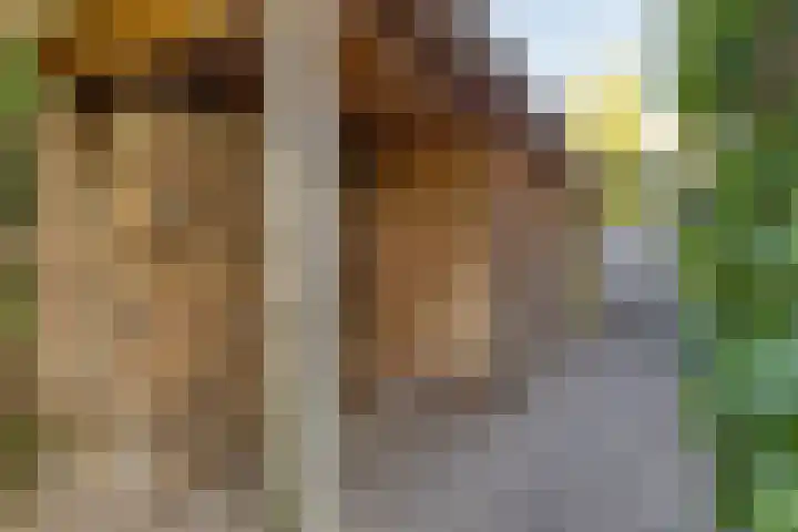 Schuilenburglaan 55 Lienden thumbnail 42