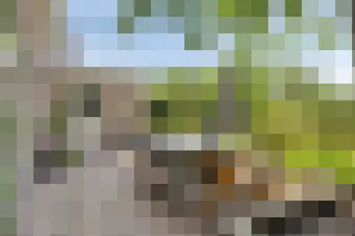 Schuilenburglaan 55 Lienden thumbnail 43