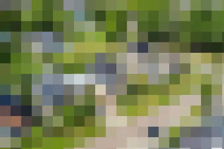 Schuilenburglaan 55 Lienden thumbnail 45