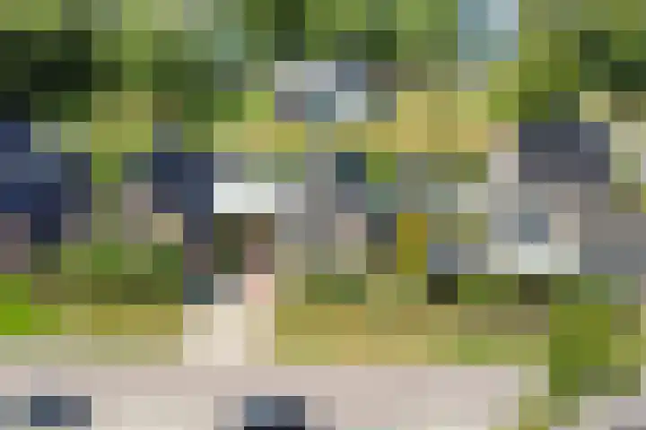 Schuilenburglaan 55 Lienden thumbnail 46