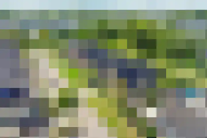 Schuilenburglaan 55 Lienden thumbnail 47