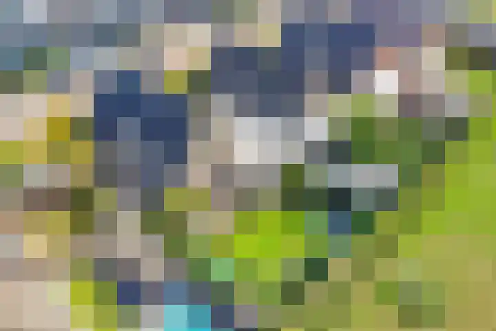 Schuilenburglaan 55 Lienden thumbnail 48