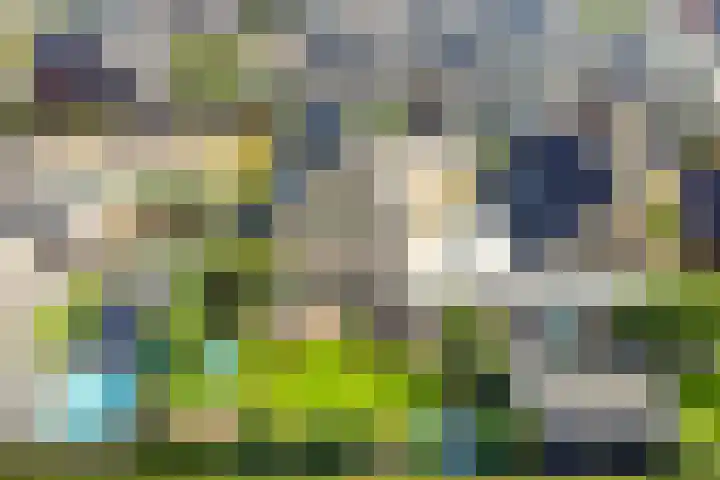 Schuilenburglaan 55 Lienden thumbnail 49