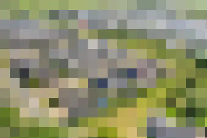 Schuilenburglaan 55 Lienden thumbnail 53