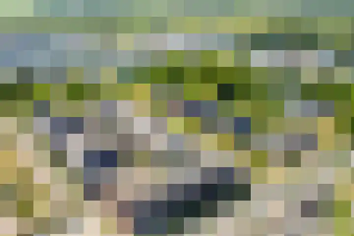 Schuilenburglaan 55 Lienden thumbnail 54