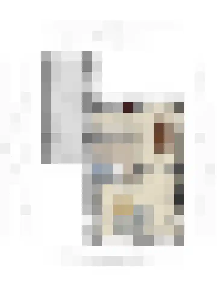 Schuilenburglaan 55 Lienden thumbnail 58