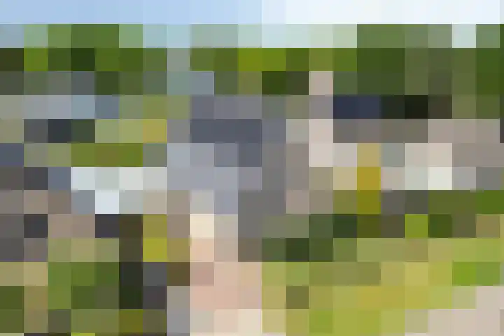 Schuilenburglaan 55 Lienden thumbnail 6