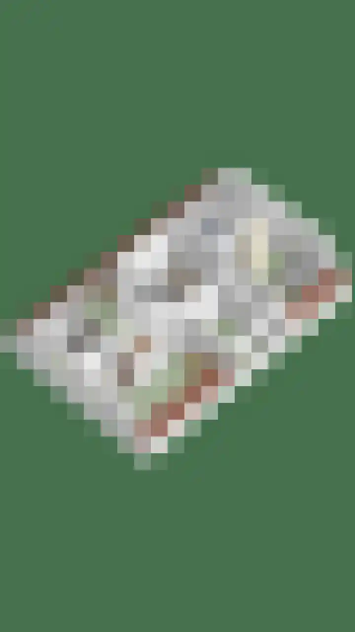 Schuilenburglaan 55 Lienden thumbnail 61