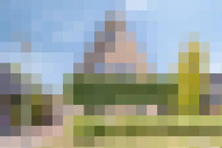 Schuilenburglaan 55 Lienden thumbnail 7