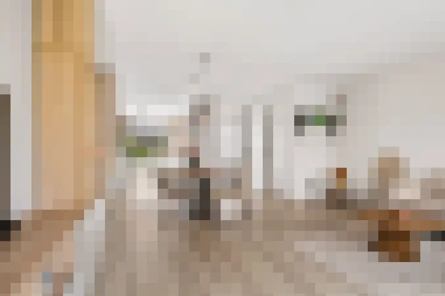 Schuilenburgstraat 14 Zwolle thumbnail 18