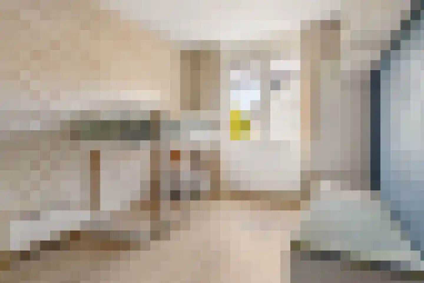 Schuilenburgstraat 14 Zwolle thumbnail 33
