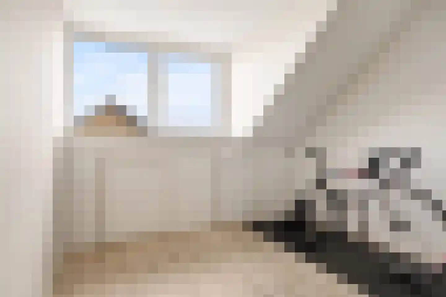 Schuilenburgstraat 14 Zwolle thumbnail 39