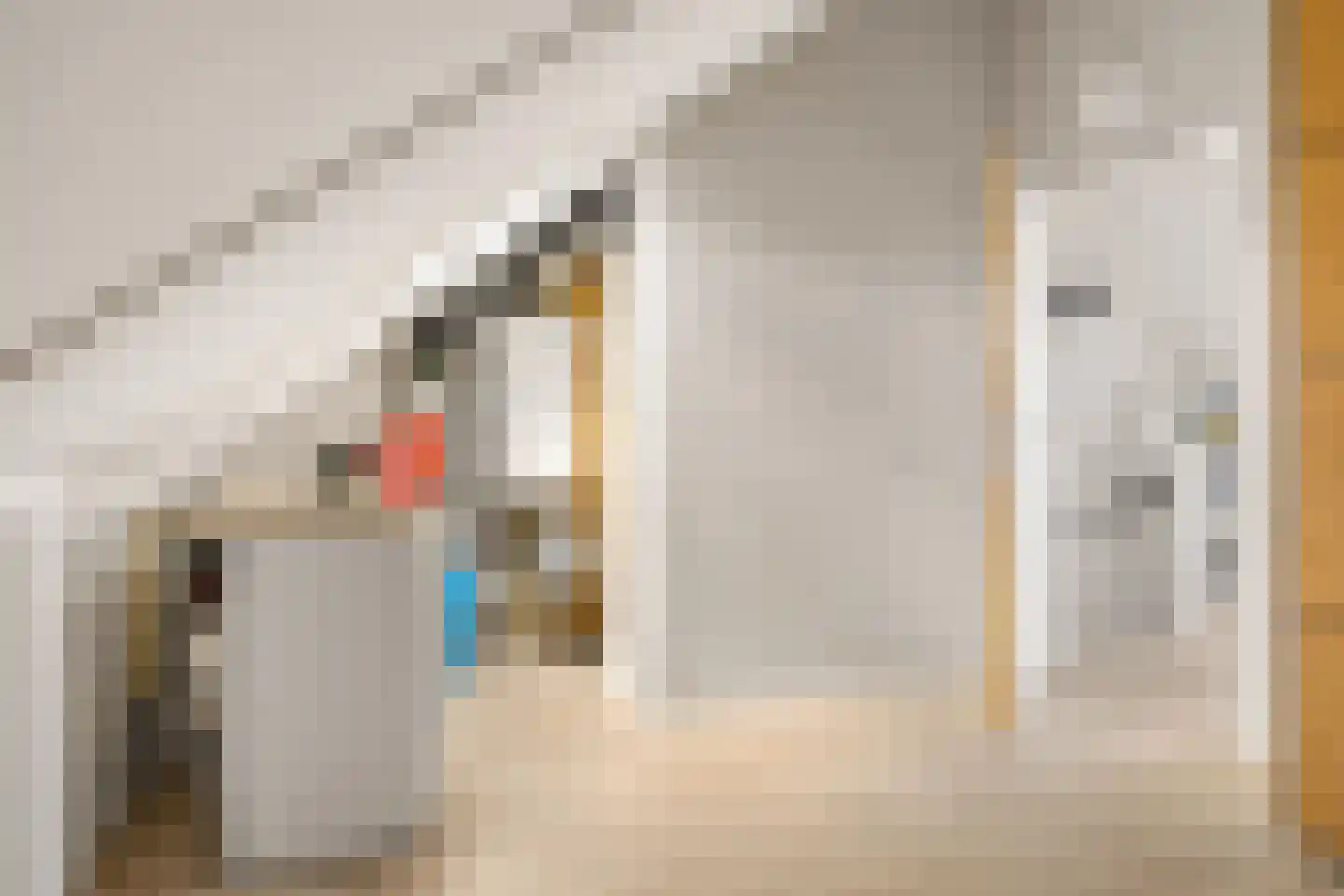 Schuilenburgstraat 14 Zwolle thumbnail 42