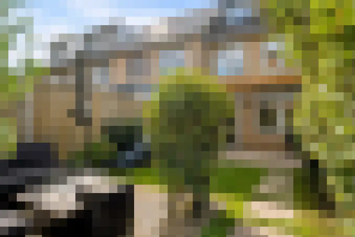 Schuilenburgstraat 14 Zwolle thumbnail 48