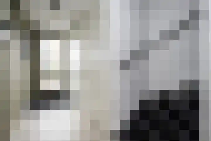 Schuilenburgstraat 14 Zwolle thumbnail 5