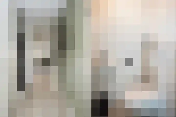 Schuilenburgstraat 14 Zwolle thumbnail 6