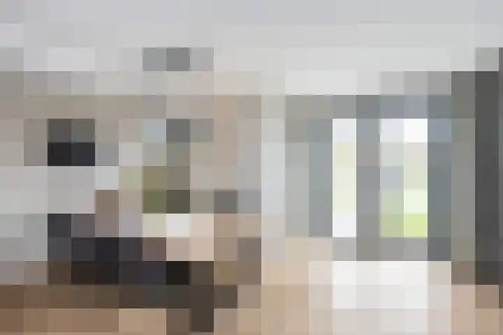 Schuilenburgstraat 31 Zwolle thumbnail 17
