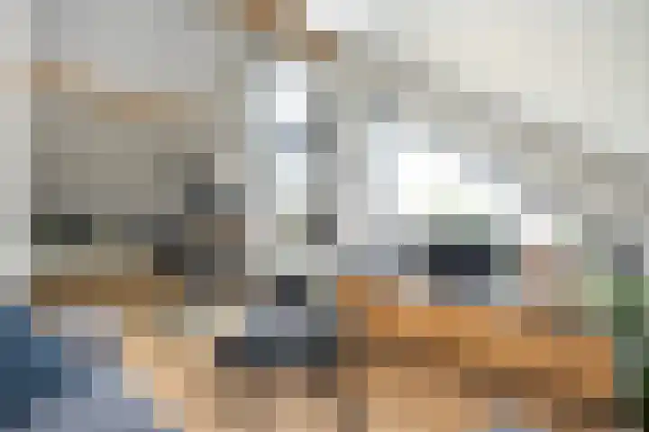 Schuilenburgstraat 31 Zwolle thumbnail 33