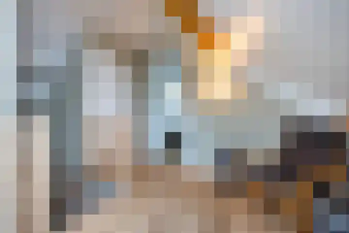 Schuilenburgstraat 31 Zwolle thumbnail 39