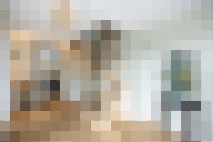 Schuilenburgstraat 31 Zwolle thumbnail 4