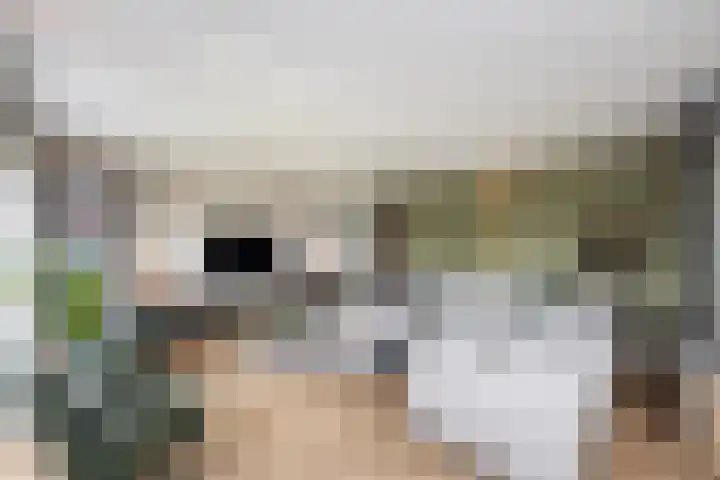 Schuilenburgstraat 31 Zwolle thumbnail 7
