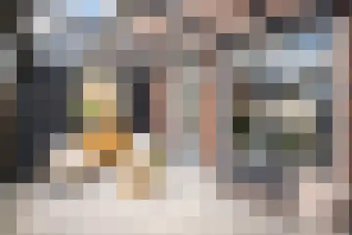 Schuilenburgstraat 32 Zwolle thumbnail 8