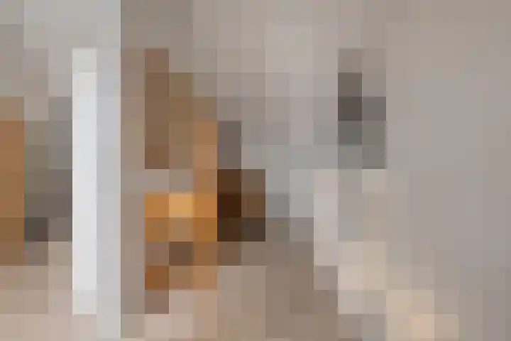 Schuilenburgstraat 42 Zwolle thumbnail 34