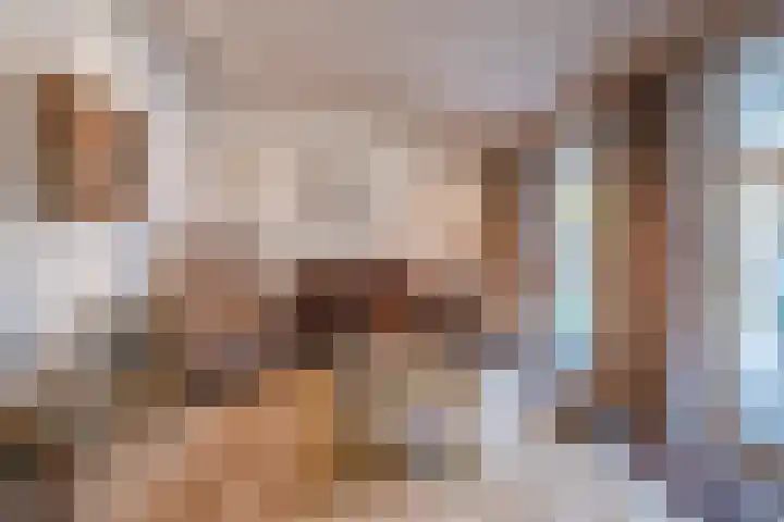 Schuilevinkje 11 Best thumbnail 13