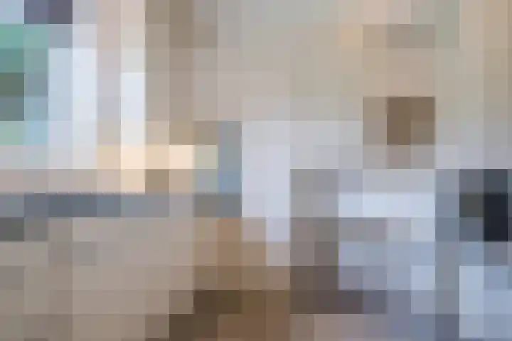 Schuilevinkje 11 Best thumbnail 20