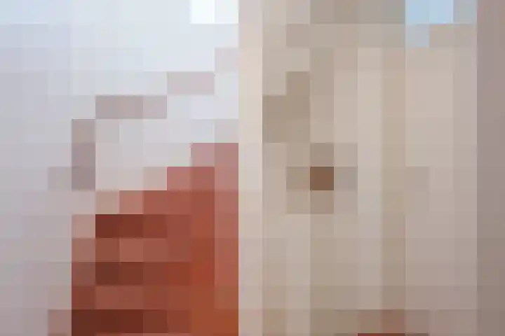 Schuilevinkje 11 Best thumbnail 21