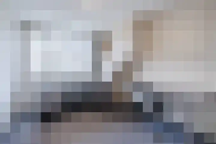 Schuilevinkje 11 Best thumbnail 24