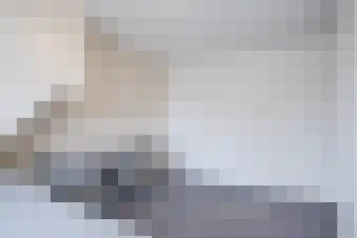 Schuilevinkje 11 Best thumbnail 25