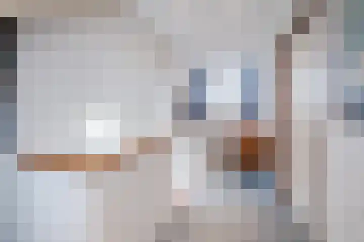 Schuilevinkje 11 Best thumbnail 30
