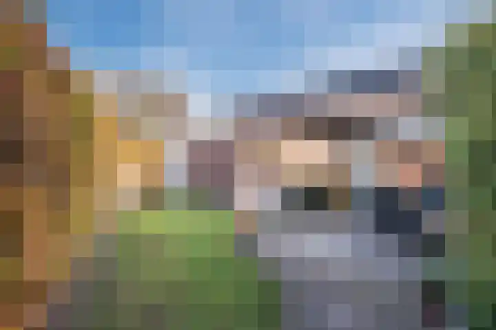 Schuilevinkje 11 Best thumbnail 34