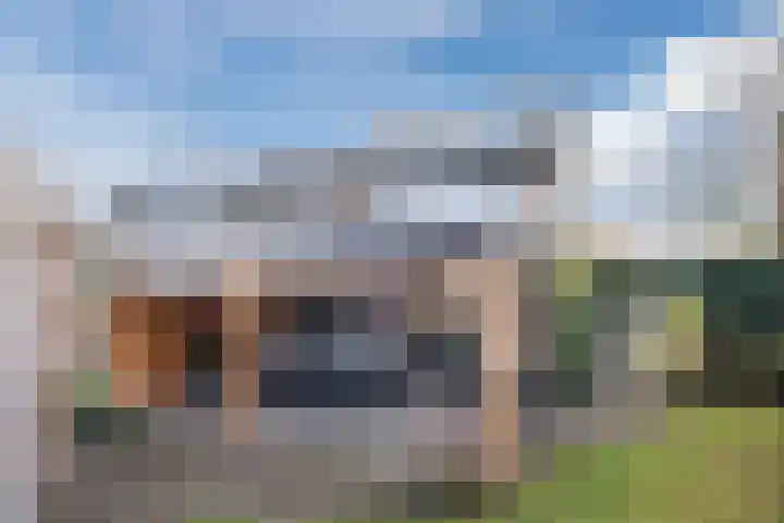 Schuilevinkje 11 Best thumbnail 36