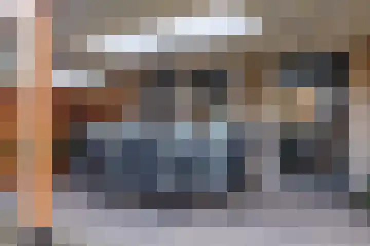 Schuilevinkje 11 Best thumbnail 37