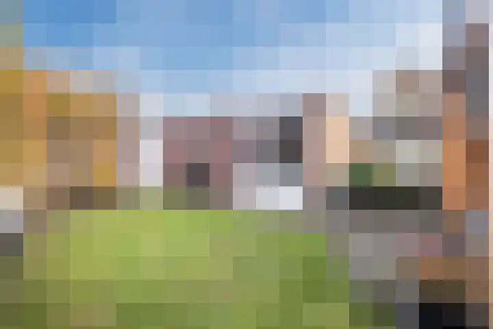 Schuilevinkje 11 Best thumbnail 38