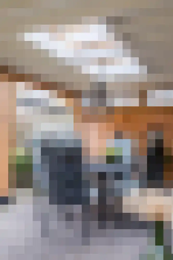 Schuilevinkje 11 Best thumbnail 39
