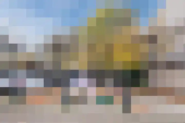 Schuilevinkje 11 Best thumbnail 42