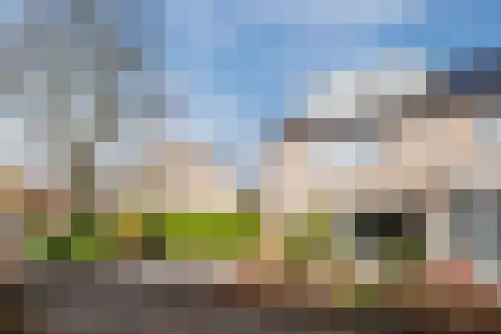 Schuilevinkje 11 Best thumbnail 43