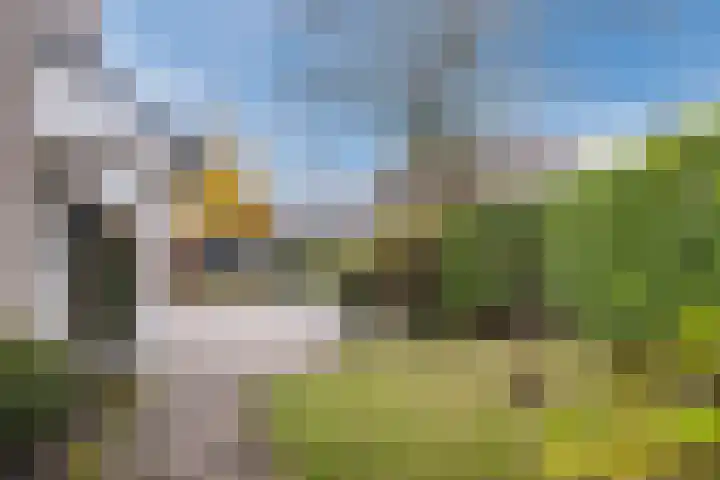 Schuilevinkje 11 Best thumbnail 8