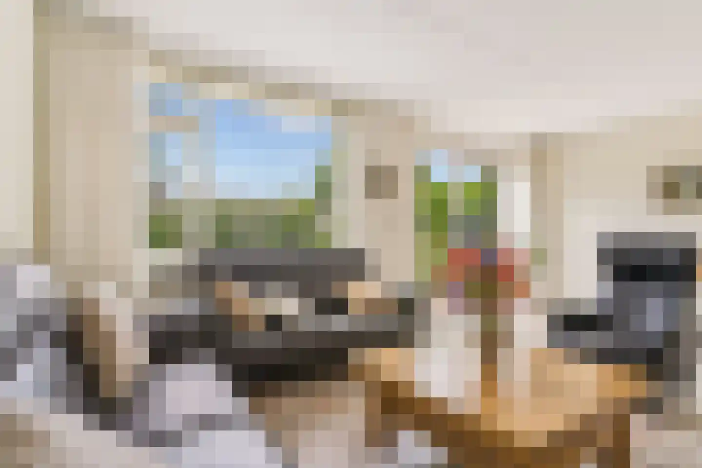 Schuilhoeve 40 Houten thumbnail 11
