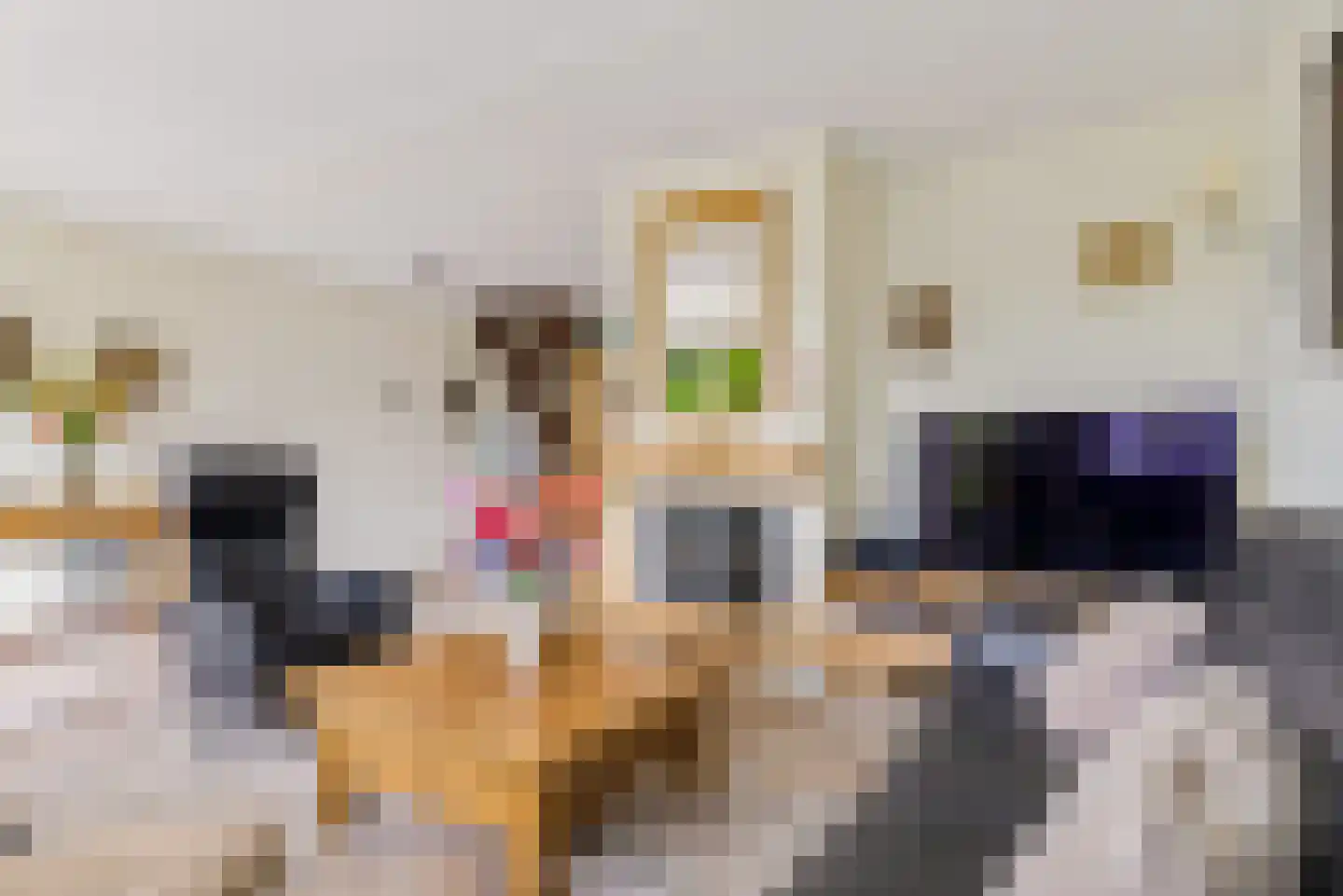 Schuilhoeve 40 Houten thumbnail 13
