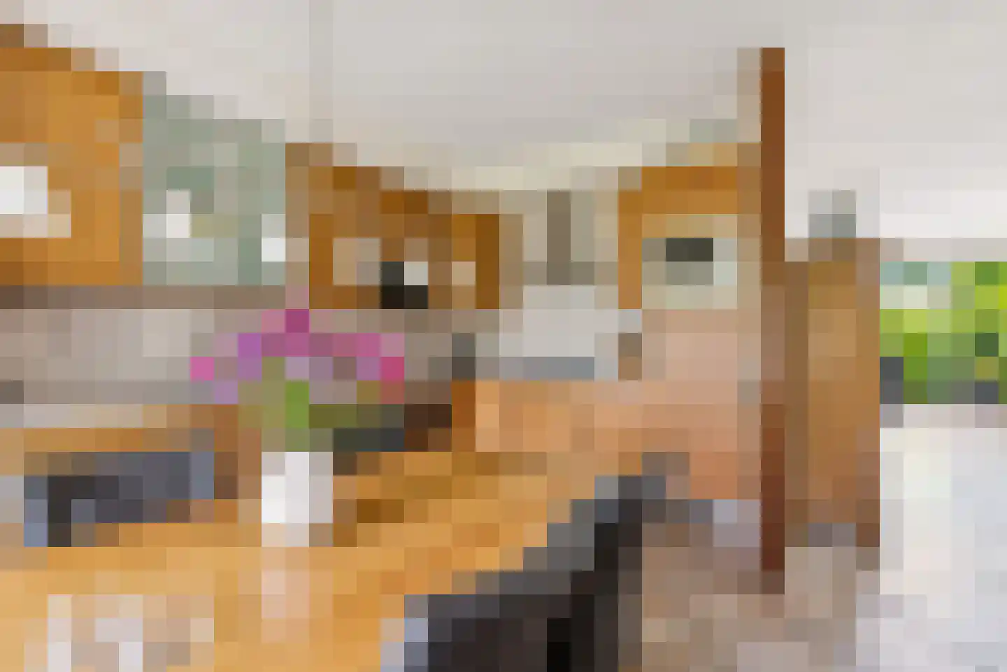 Schuilhoeve 40 Houten thumbnail 15