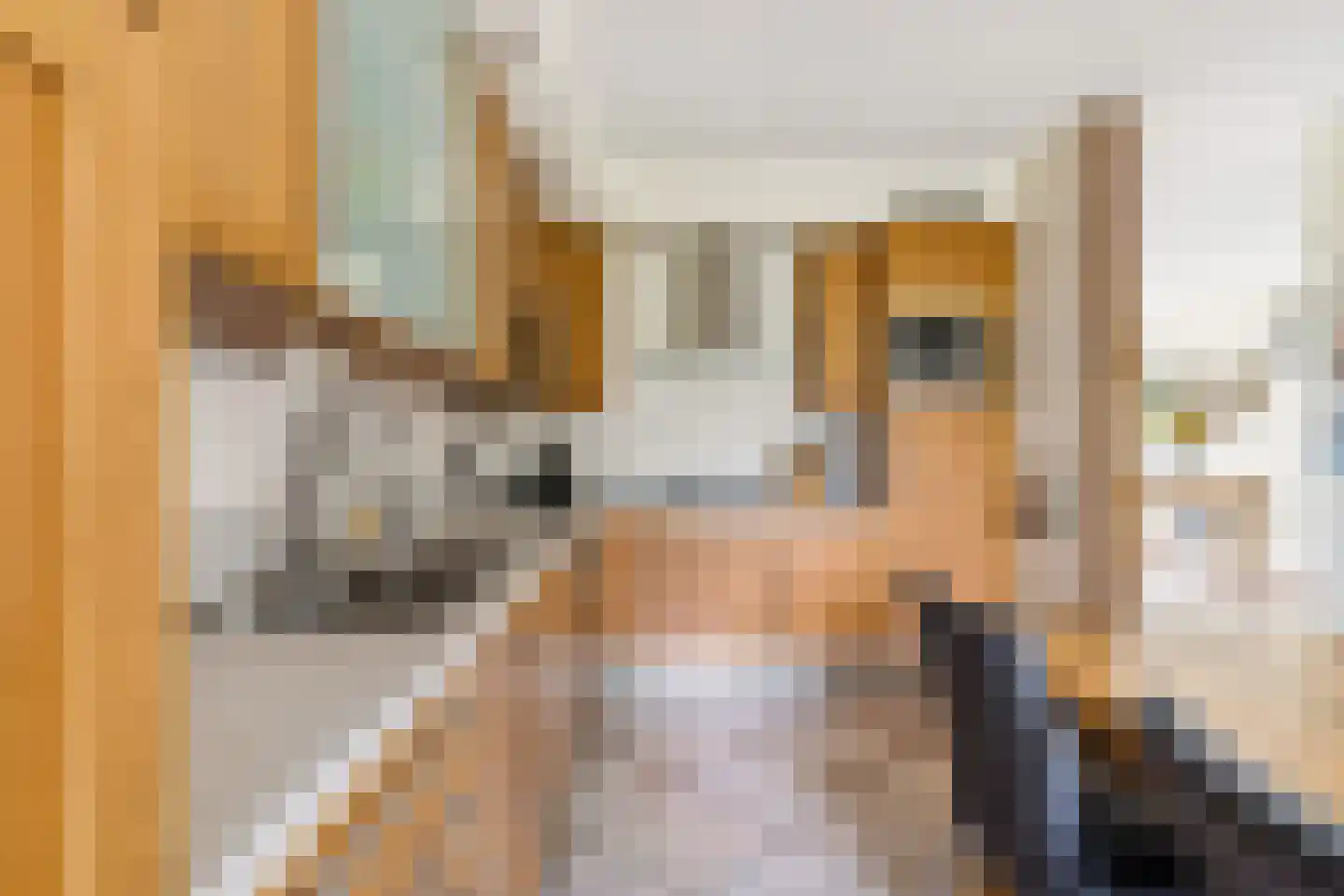 Schuilhoeve 40 Houten thumbnail 17