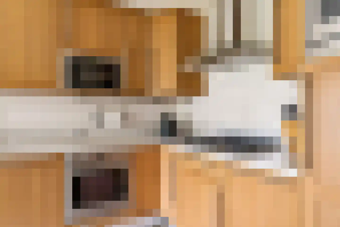 Schuilhoeve 40 Houten thumbnail 18