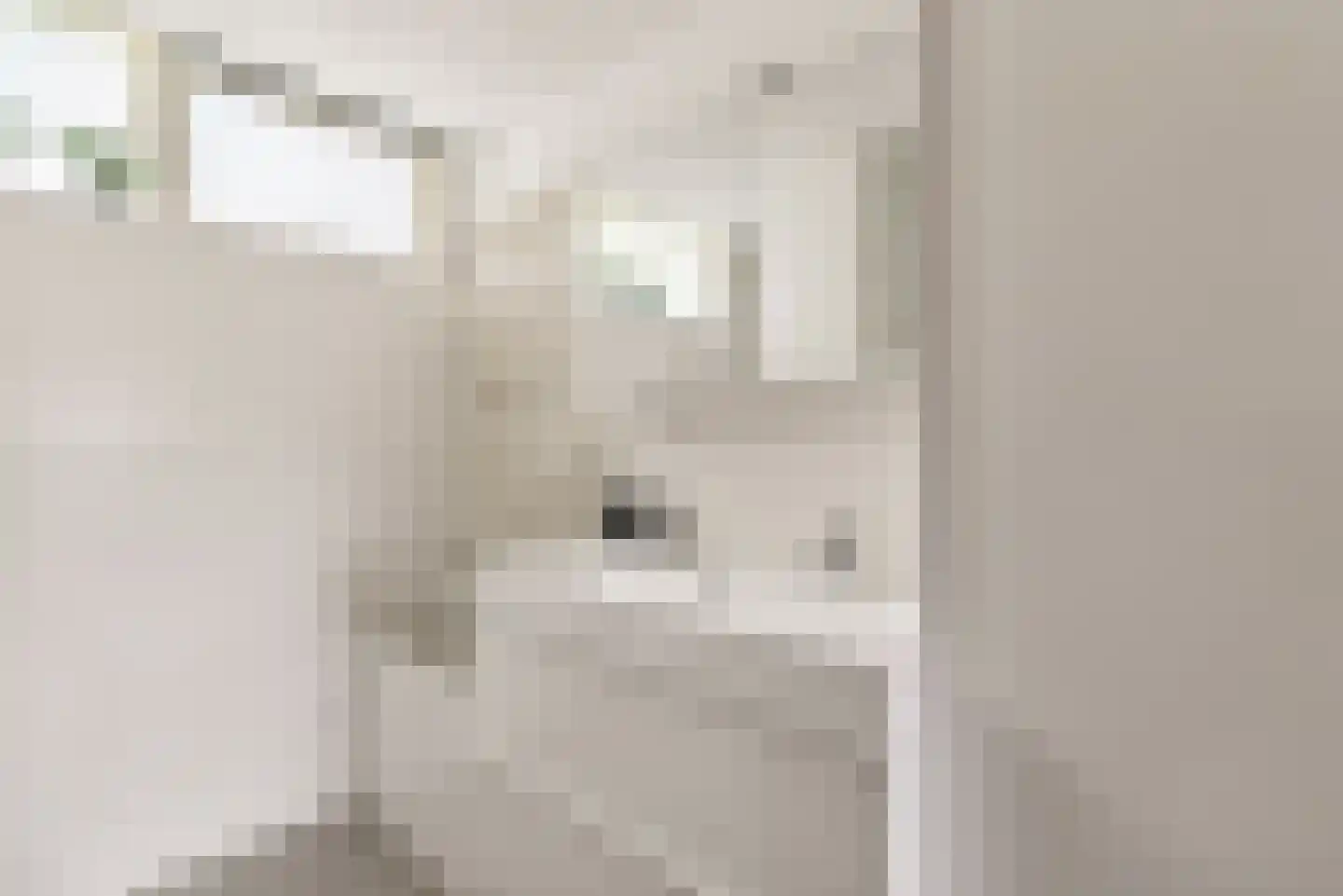 Schuilhoeve 40 Houten thumbnail 29