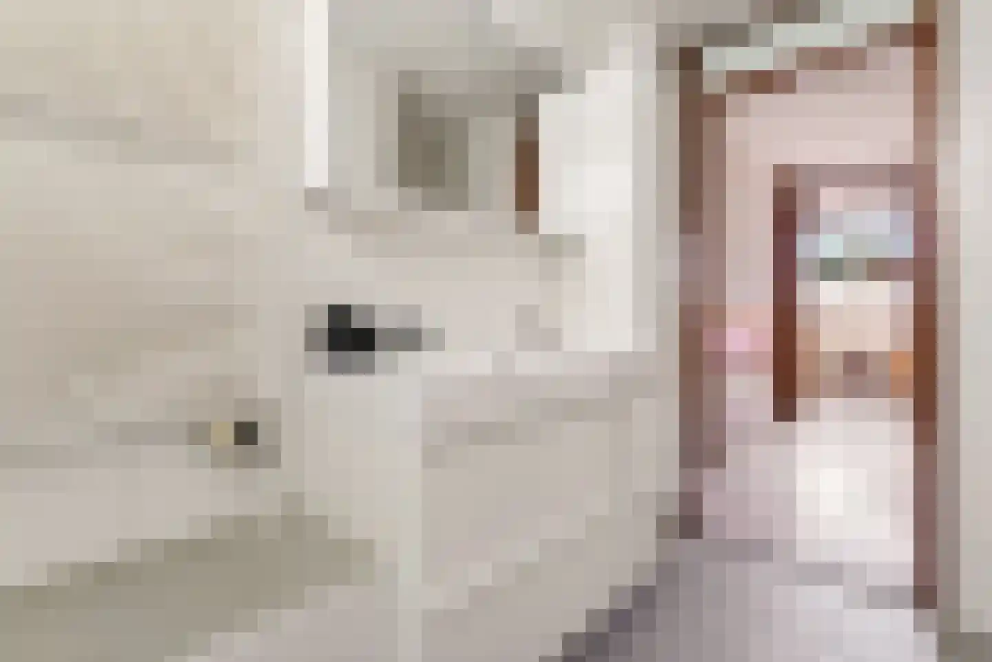 Schuilhoeve 40 Houten thumbnail 30