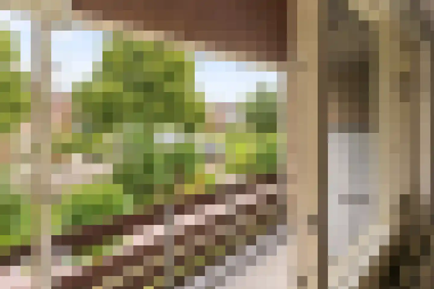Schuilhoeve 40 Houten thumbnail 37