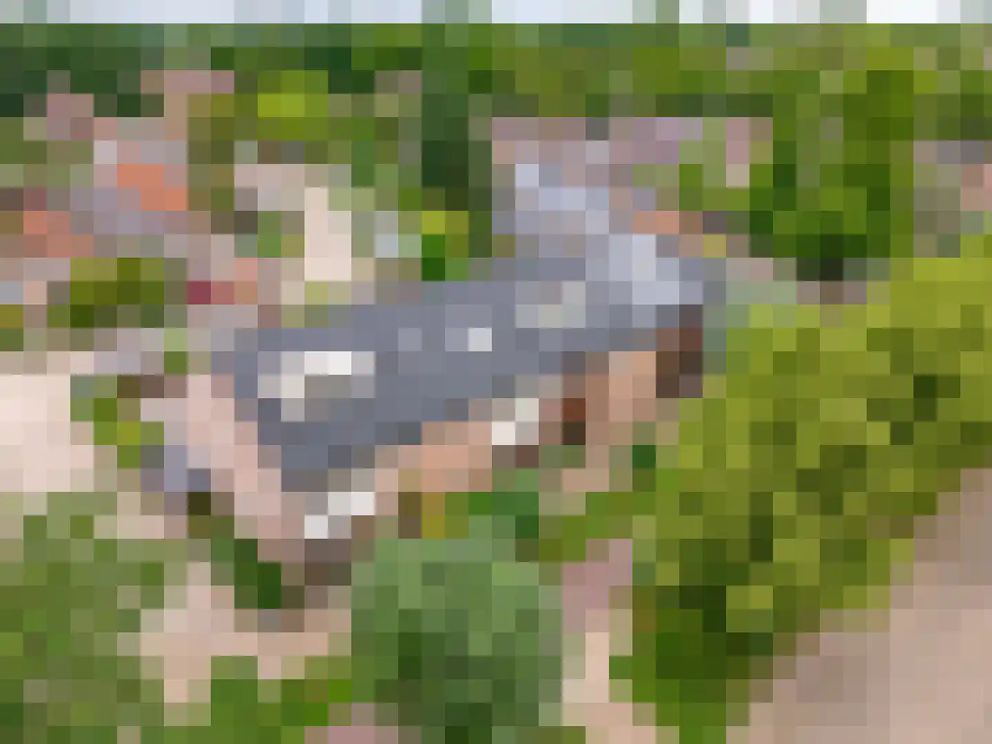 Schuilhoeve 40 Houten thumbnail 46
